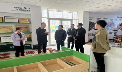 專家技術(shù)指導(dǎo)守護(hù)種業(yè)安全 技術(shù)推廣服務(wù)